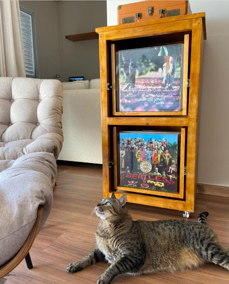 Estante discos em madeira maciça